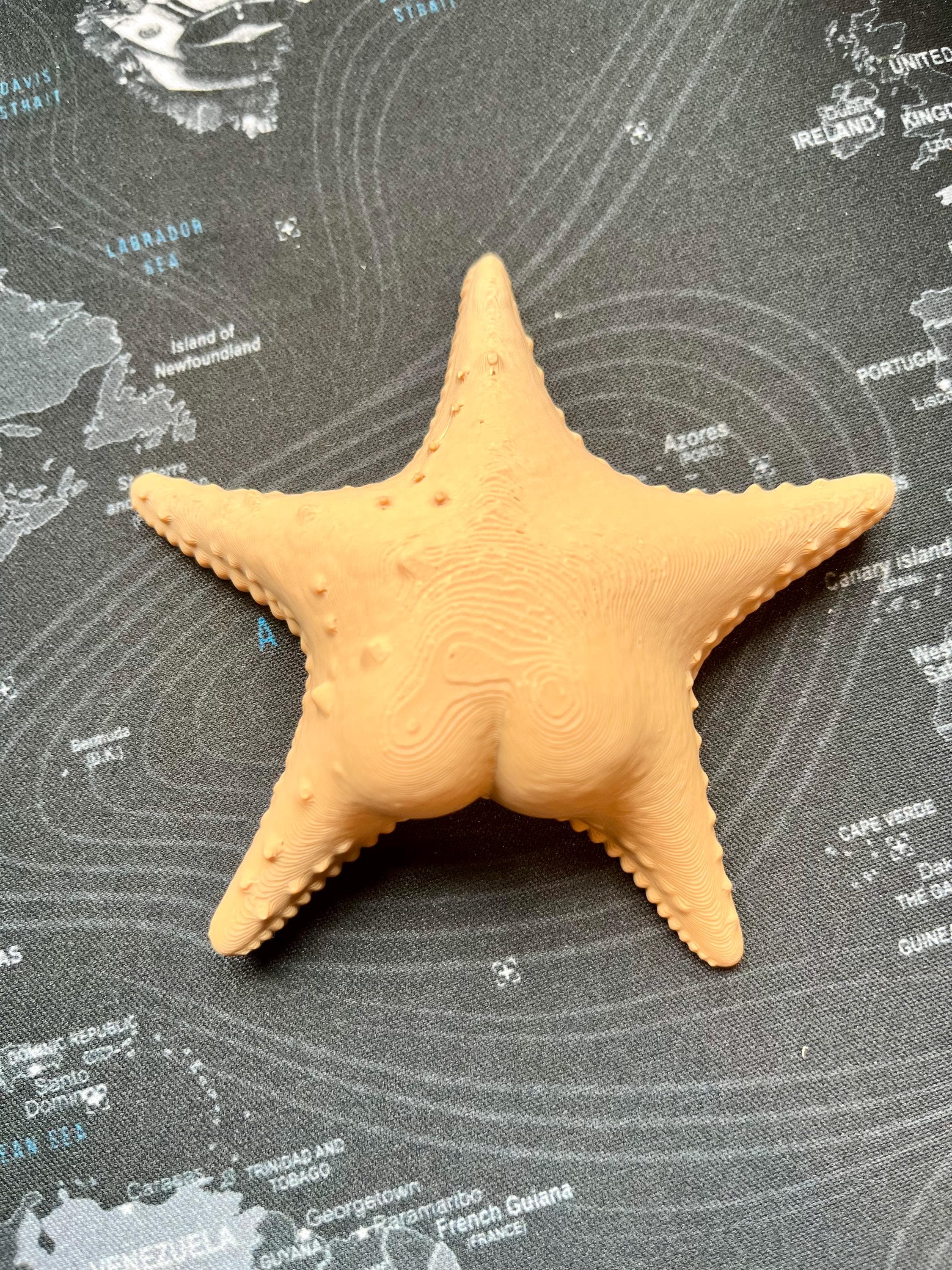 Big Booty Starfish Fridge Magnet 36+ Colours
