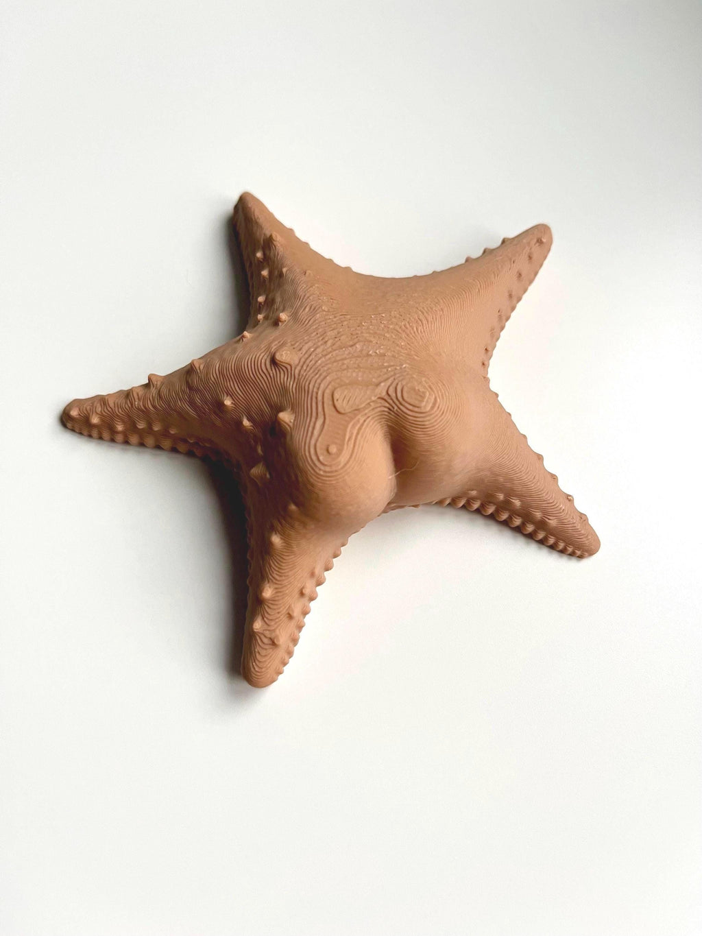 Big Booty Starfish Fridge Magnet 36+ Colours