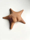 Big Booty Starfish Fridge Magnet 36+ Colours