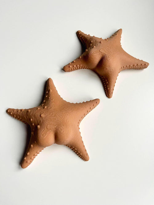 Big Booty Starfish Fridge Magnet 36+ Colours