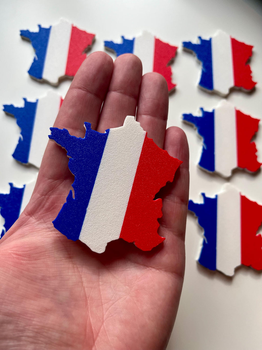 France Flag Fridge Magnet.