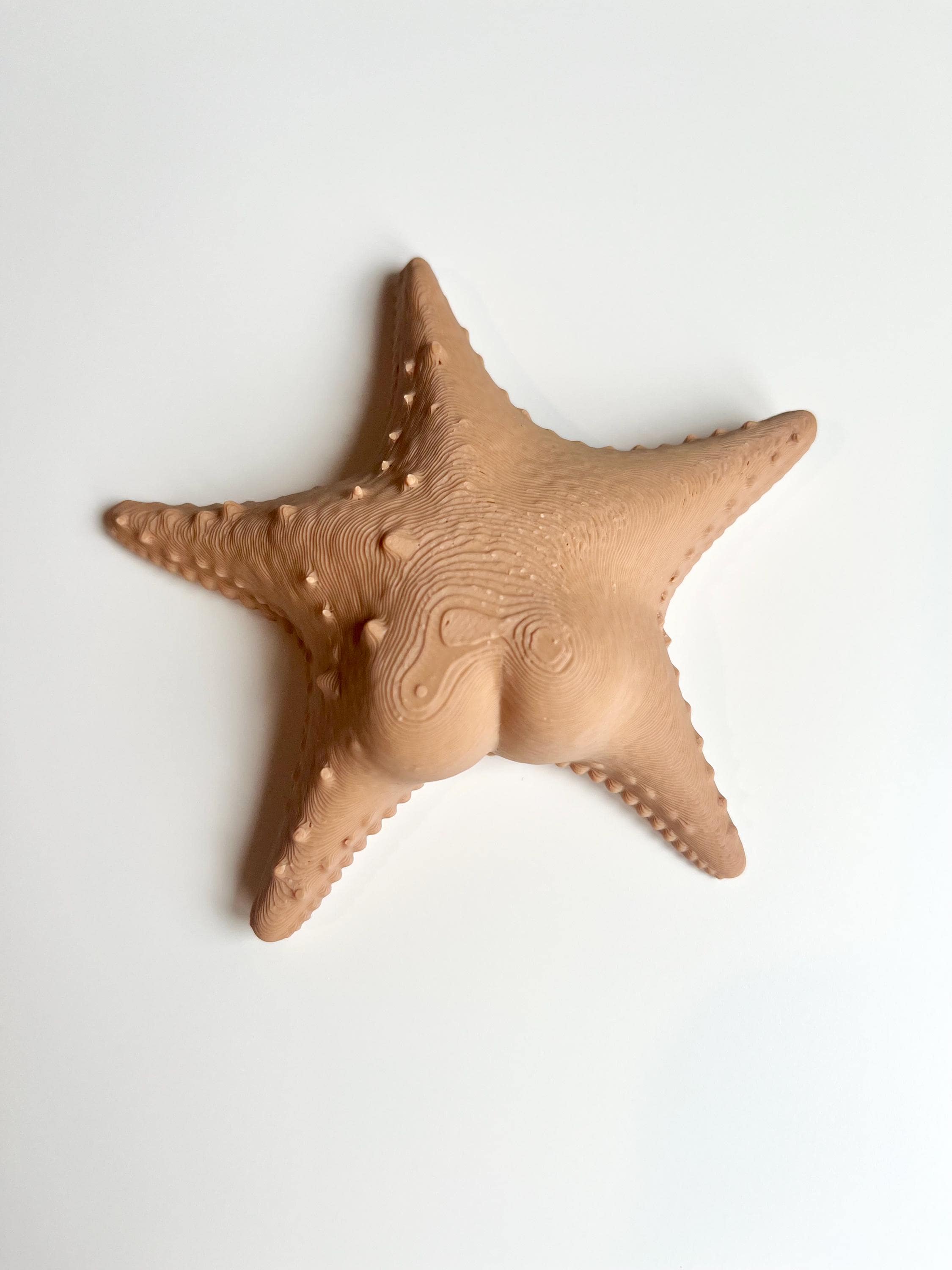 Big Booty Starfish Fridge Magnet 36+ Colours